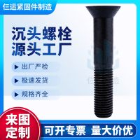 永年厂家直供8.8级10.9级12.9级氧化发黑高强度A等级沉头异型螺栓
