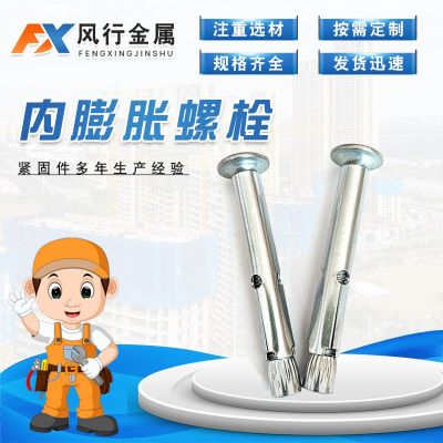 大盘头内膨胀 蓝白锌膨胀螺栓 电梯膨胀螺丝平头十字膨胀丝不锈钢