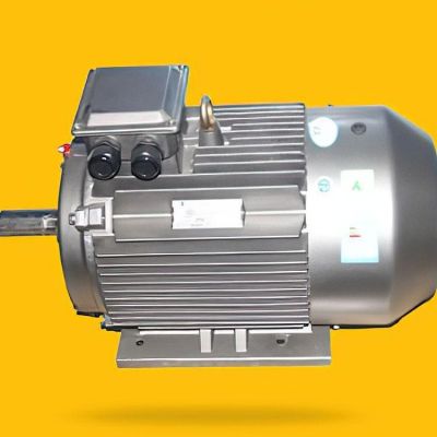 YE5系列三相异步电机 应用广泛 反馈良好 盛之豪出品