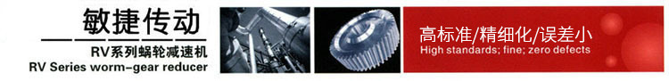 RV系列涡轮