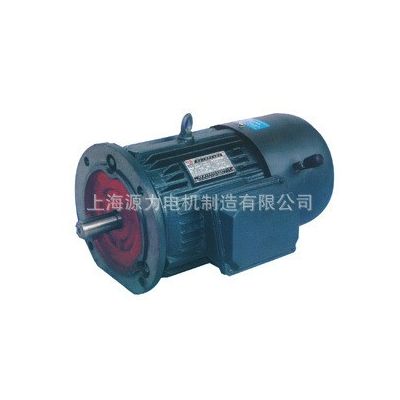 大量生产YEJ180L-4电磁制动三相异步电动机22KW电磁制动电机
