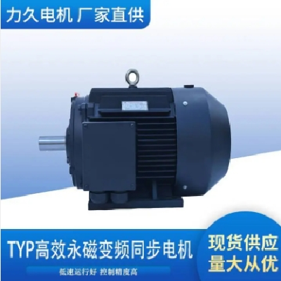 力久特种电机TYP系列高效永磁变频同步电机可定制