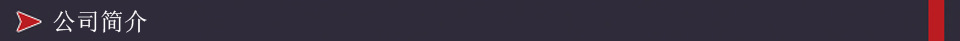 公司简介