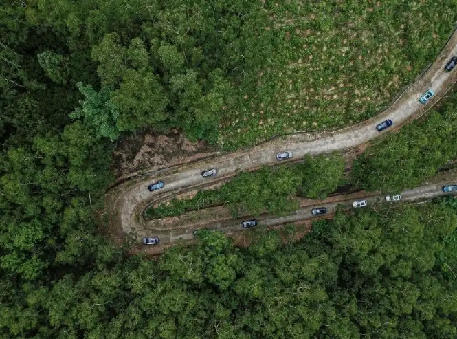 微信截图_20250623103132