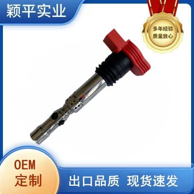 06C905115L适用于奥迪A4A63.0A8点火线圈高压包汽车配件