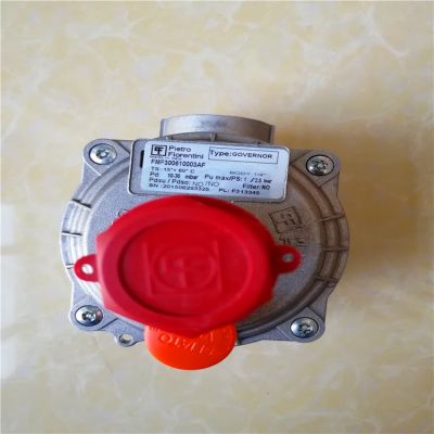 意大利菲奥调压器30061天然气稳压阀