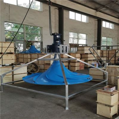 双曲面搅拌机潜水式安装示意图 QSJ-1000双曲面搅拌机