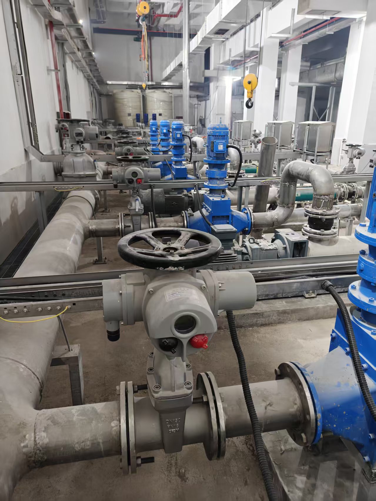 微信图片_20250527202237